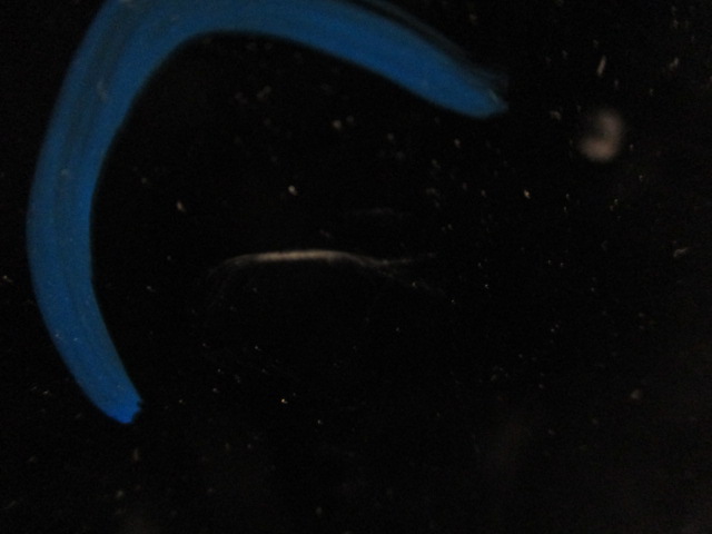 фото №7, Citroen c3 iii дверь правое задние ktvd