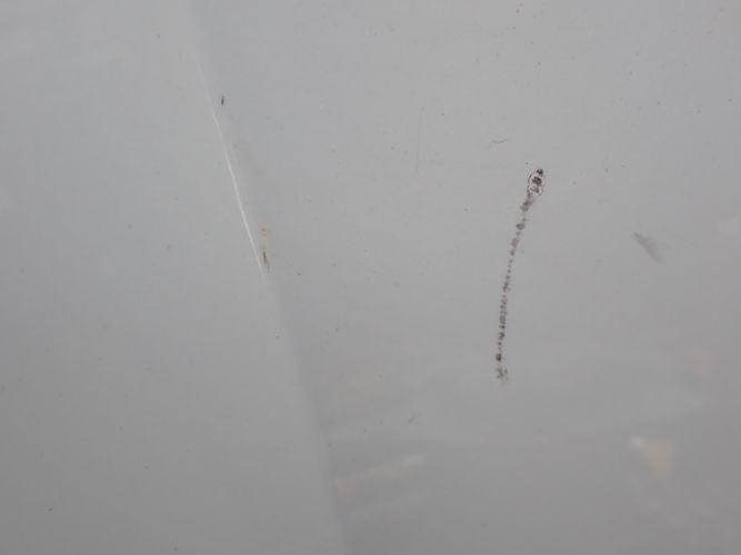 фото №12, Skoda octavia iv капот