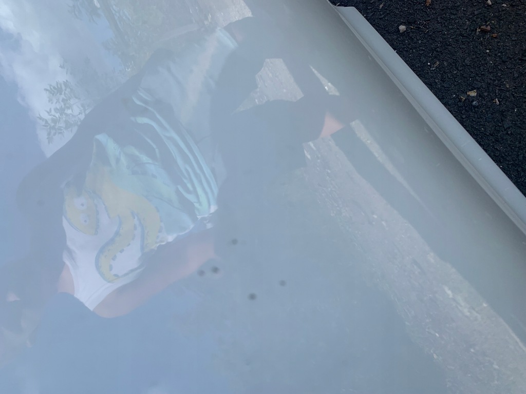 фото №4, Двері renault clio iv