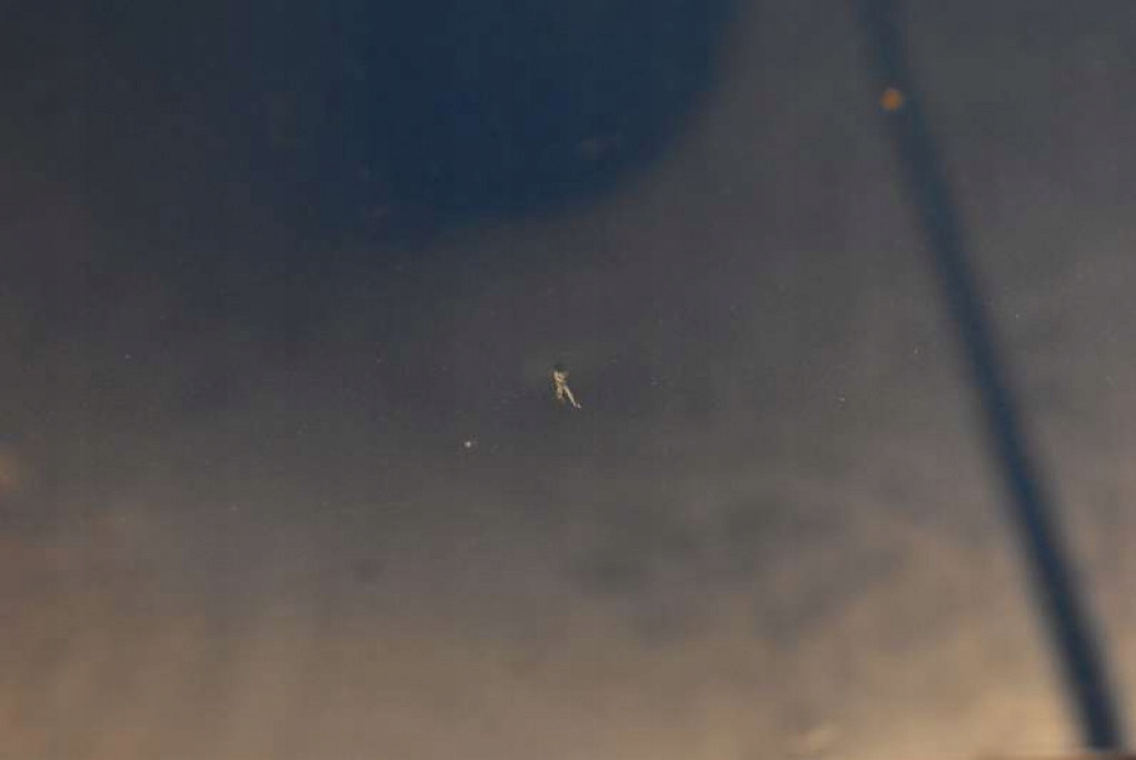 Капот кришка двигуна niebieska hyundai i30 07-12 Ціна