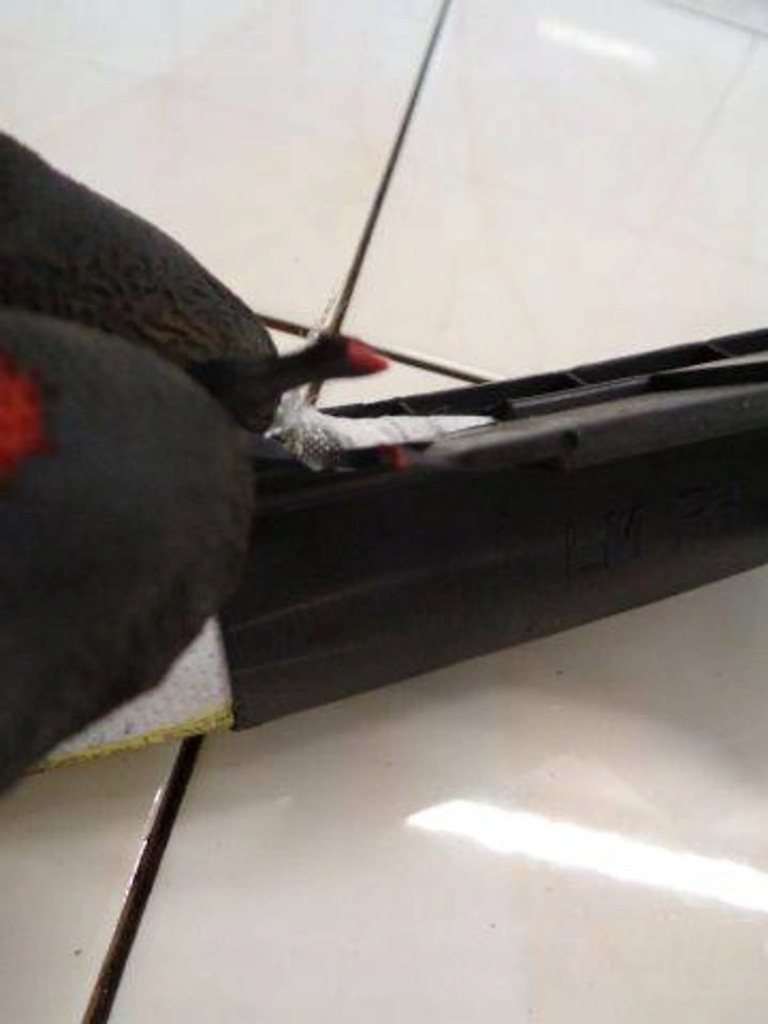 фото №15, Hyundai ix35 10 шторка безпеки подушка безпеки права 85010-2y000