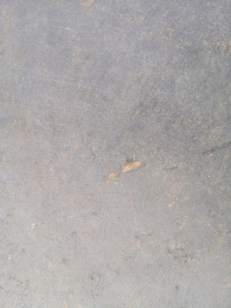 фото №6, Шумоізоляція капот + кліпси mazda 3 i bk 06-09 lift 5d hb