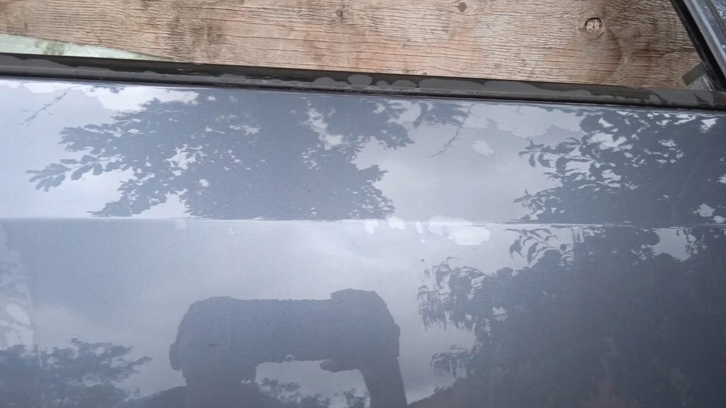 фото №9, Ford fusion mk1 дверь перед правый m2