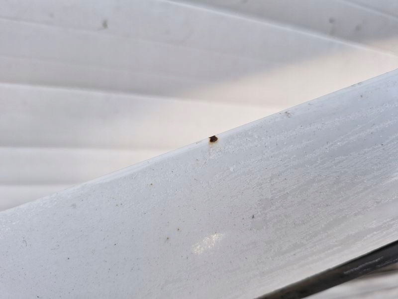 фото №8, Renault clio 3 iii 3d двері ліва 0v639