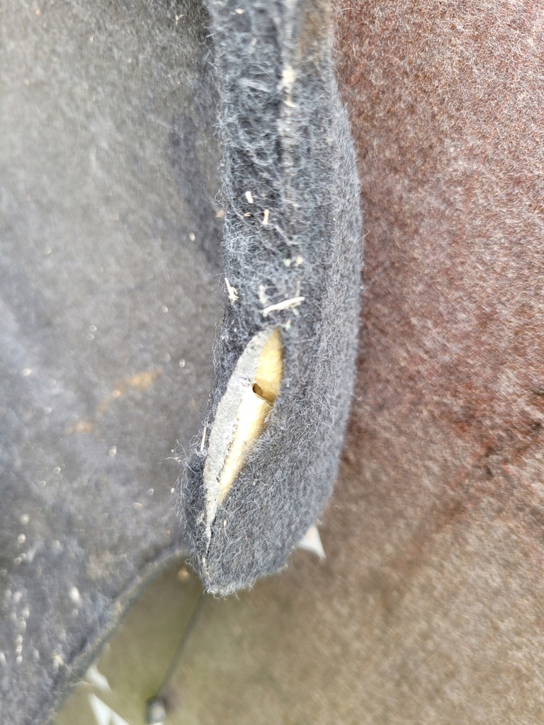 фото №10, Полиця багажника honda civic vii 01-05 5d