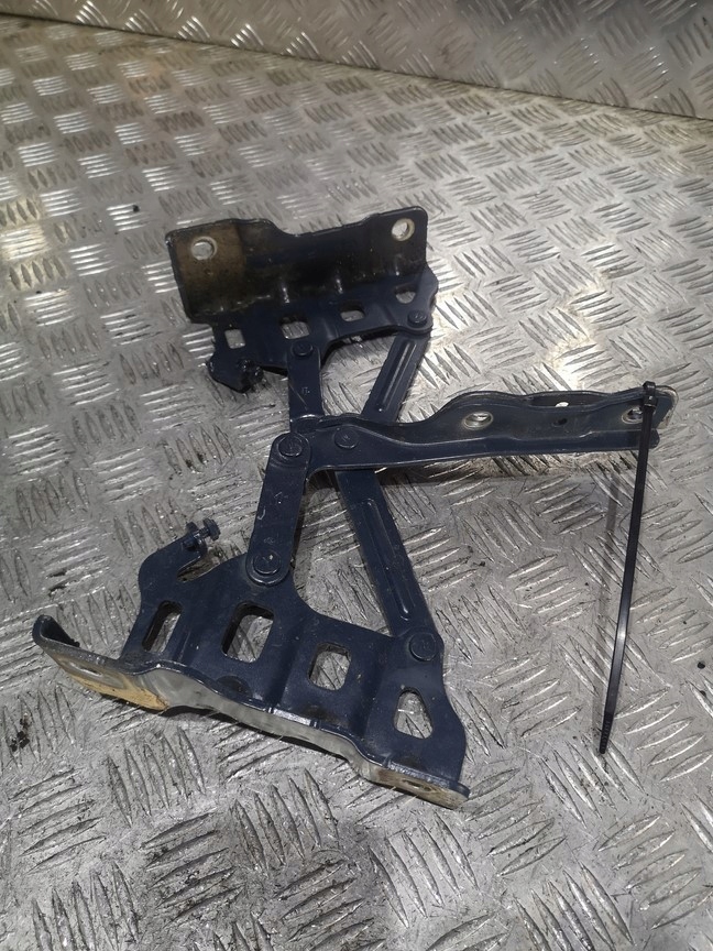 фото №1, Петлі капот kia sportage iv lift комплект