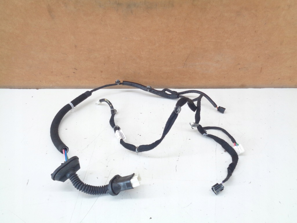 фото №1, Juke ii 2 f16 джгут двері лівий задня