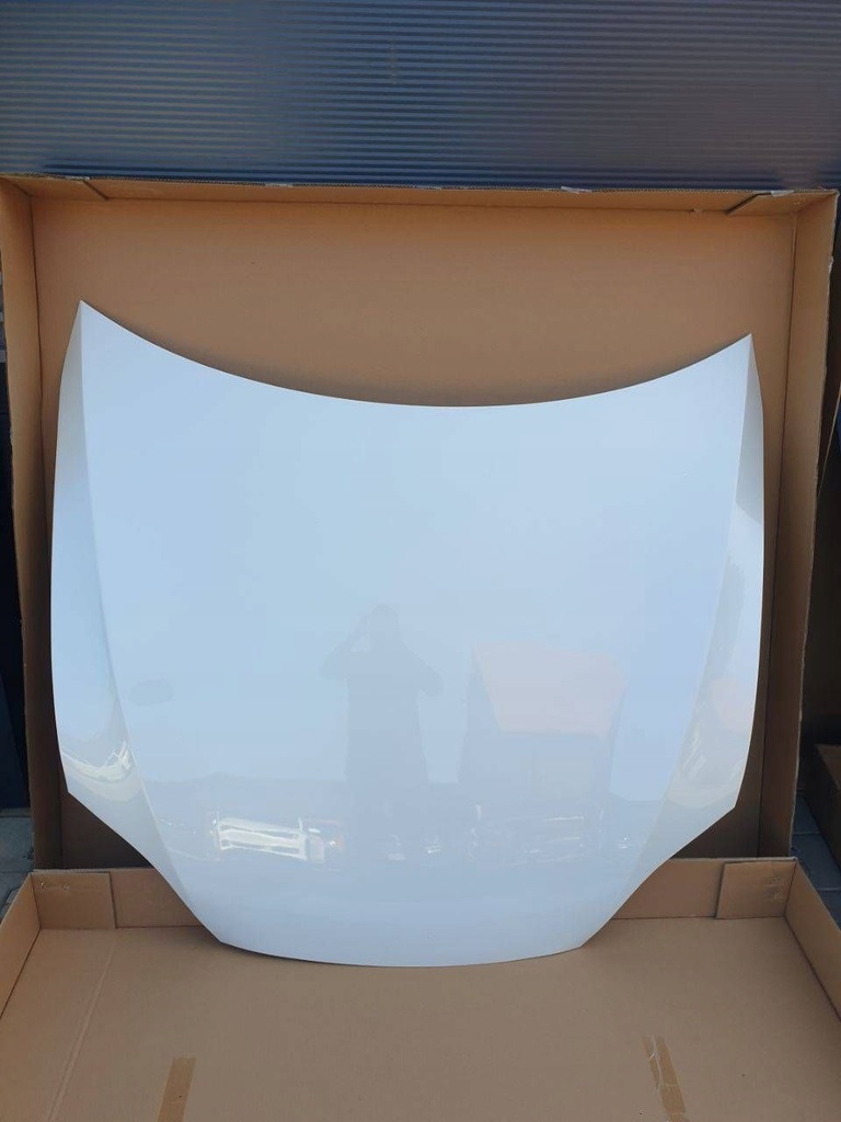 фото №1, Tesla s plaid капот ppsw