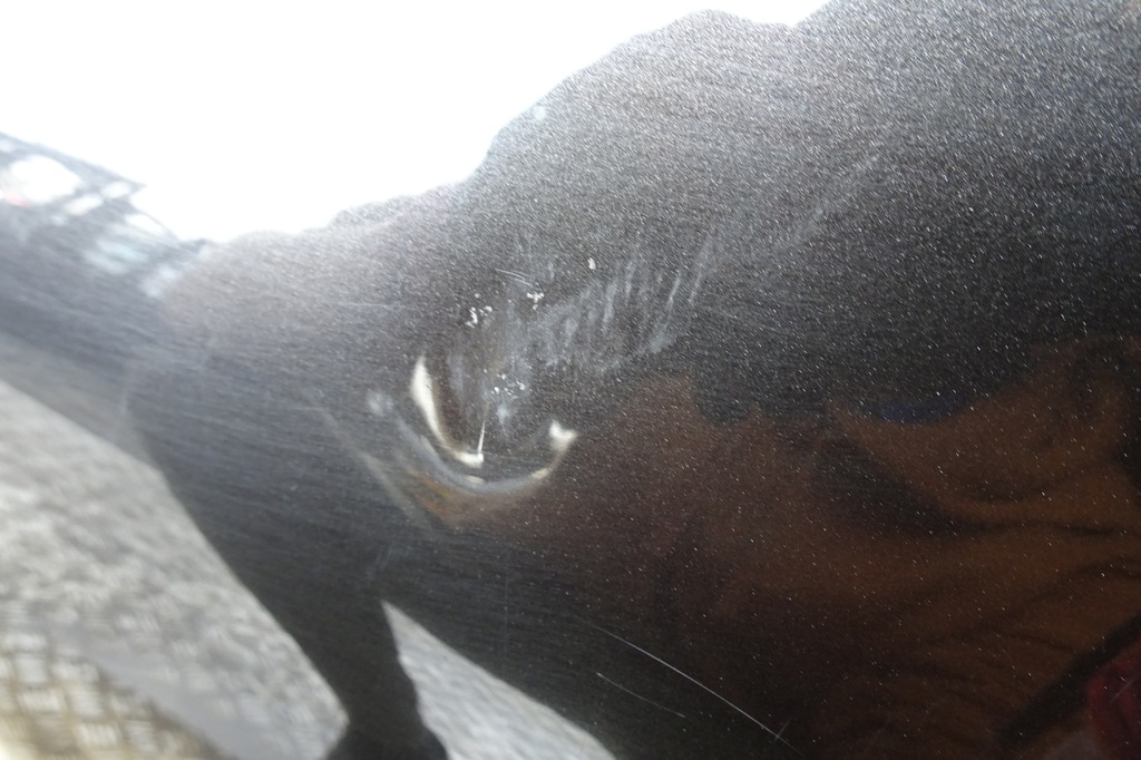 фото №7, Nissan juke f15 двері передні праве повний 2010-