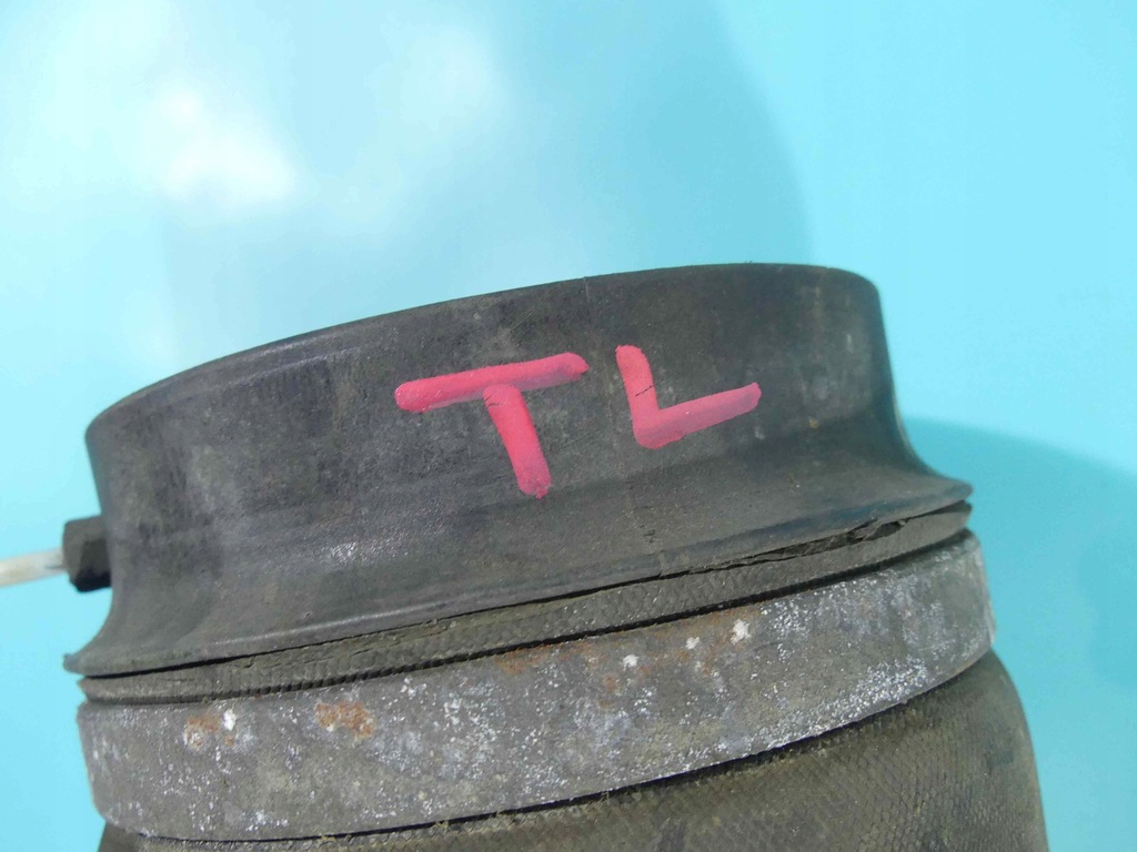 фото №5, Подушка пневматическая задняя mercedes r w251