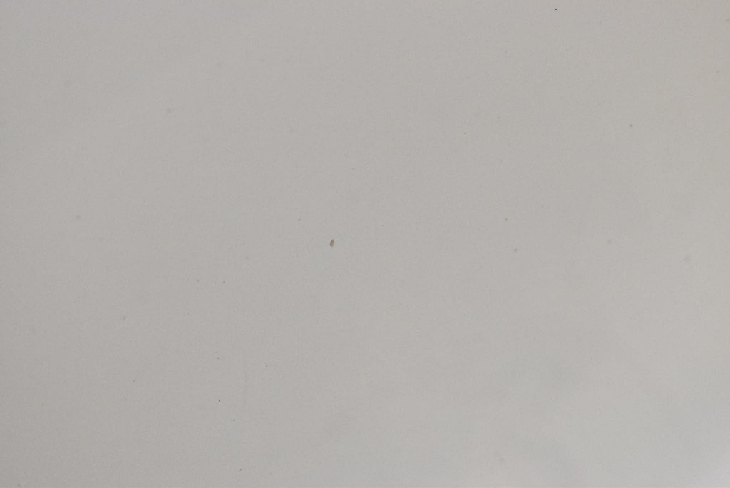 фото №6, Дверь правое задняя задние kwed citroen ds5 1 i 12-15