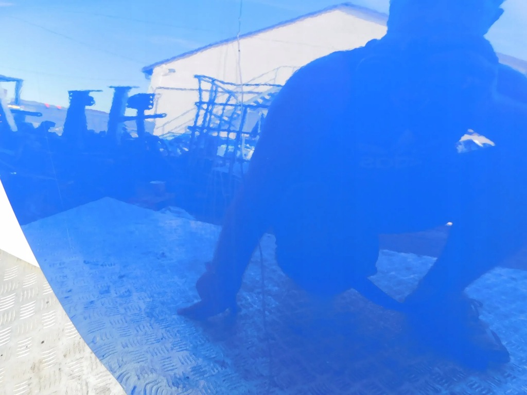 фото №9, Дверь перед передние левая skoda roomster