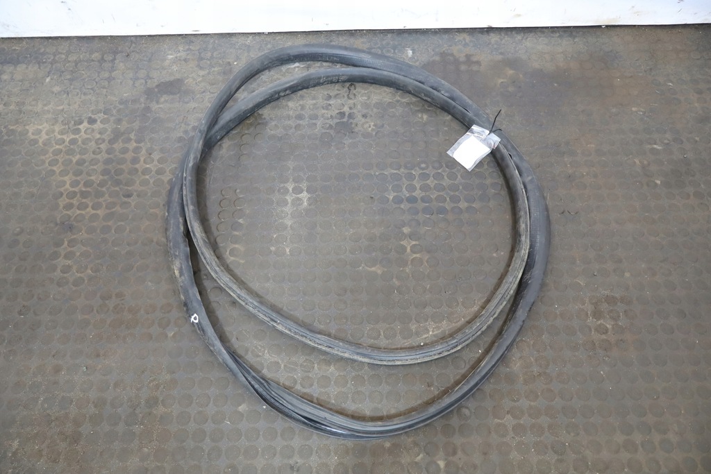 фото №3, Прокладка двері права передня renault t 460 e6