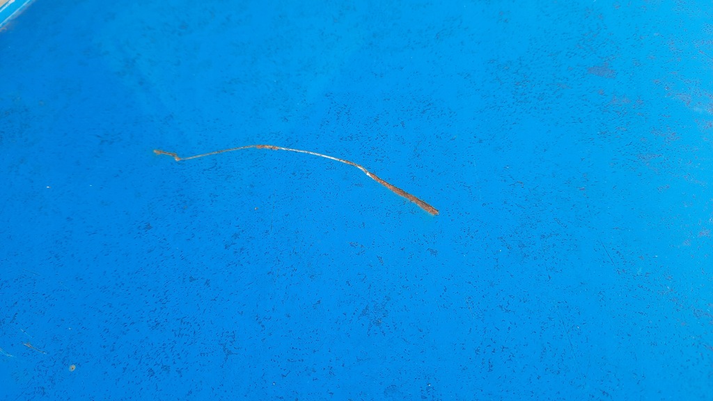 фото №9, Крыша volvo v40 ii 12-19r