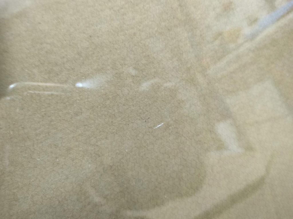 фото №6, Скло лобове перед підігрів renault austral 2023 rok