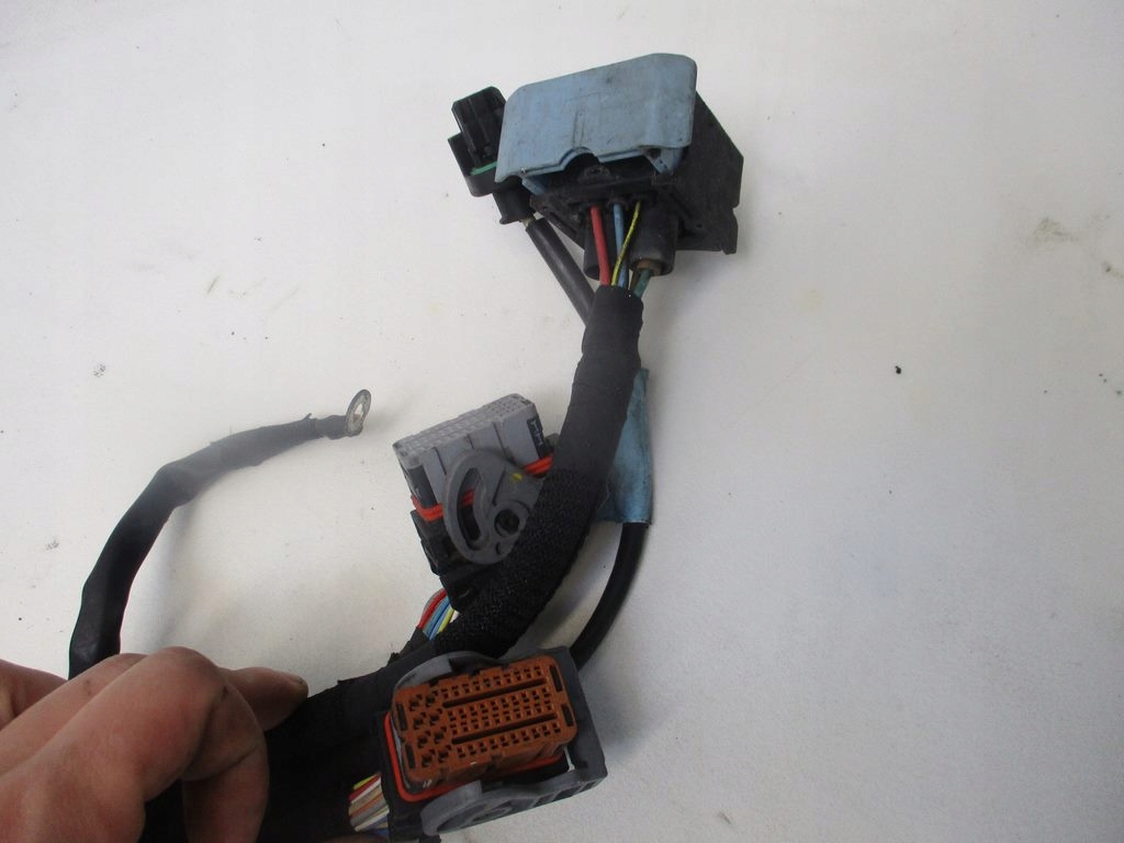 фото №9, Электропроводка двигателя автоматическая коробка передач outlander ii 2.2 did