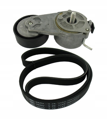 Купити Skf набір ремінь клиновий fiat