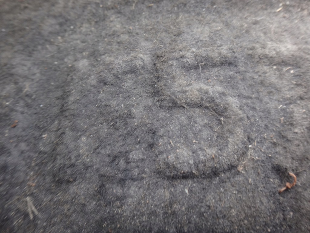 Підкрилок праве правий задній задні mini cooper r57 r58 Оригінал