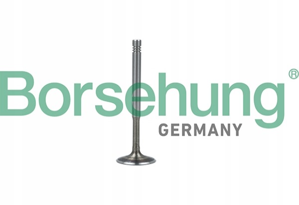 фото №1, Borsehung b19010 клапан випускний