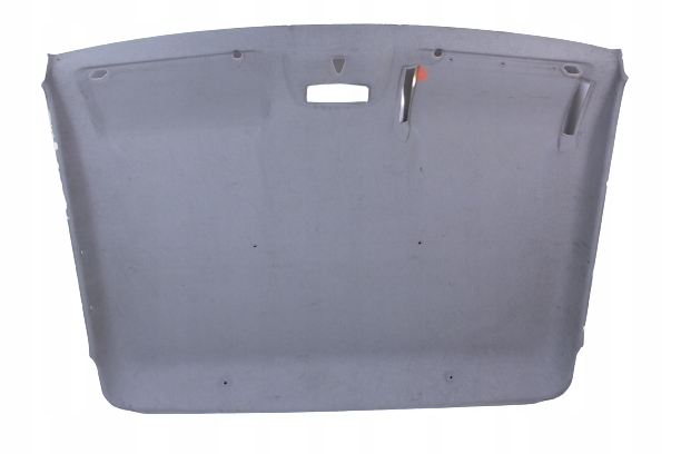 фото №1, Потолок nissan cabstar maxity 07r.