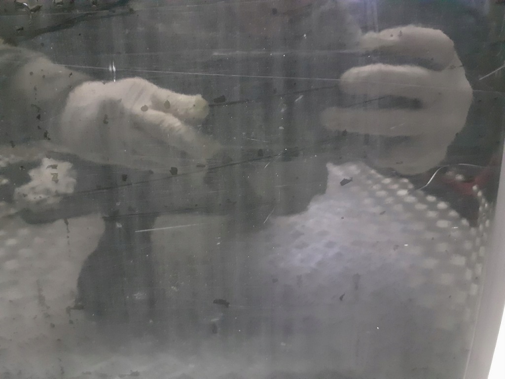 Дверь правый задний  saab 9-3 ii 2qu sedan Доставка