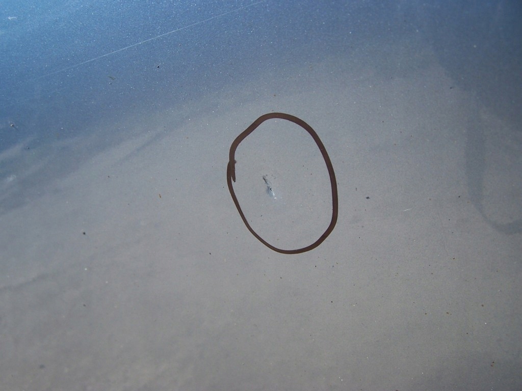 фото №6, Mazda 6 gh двері ліва передні 40b 08-