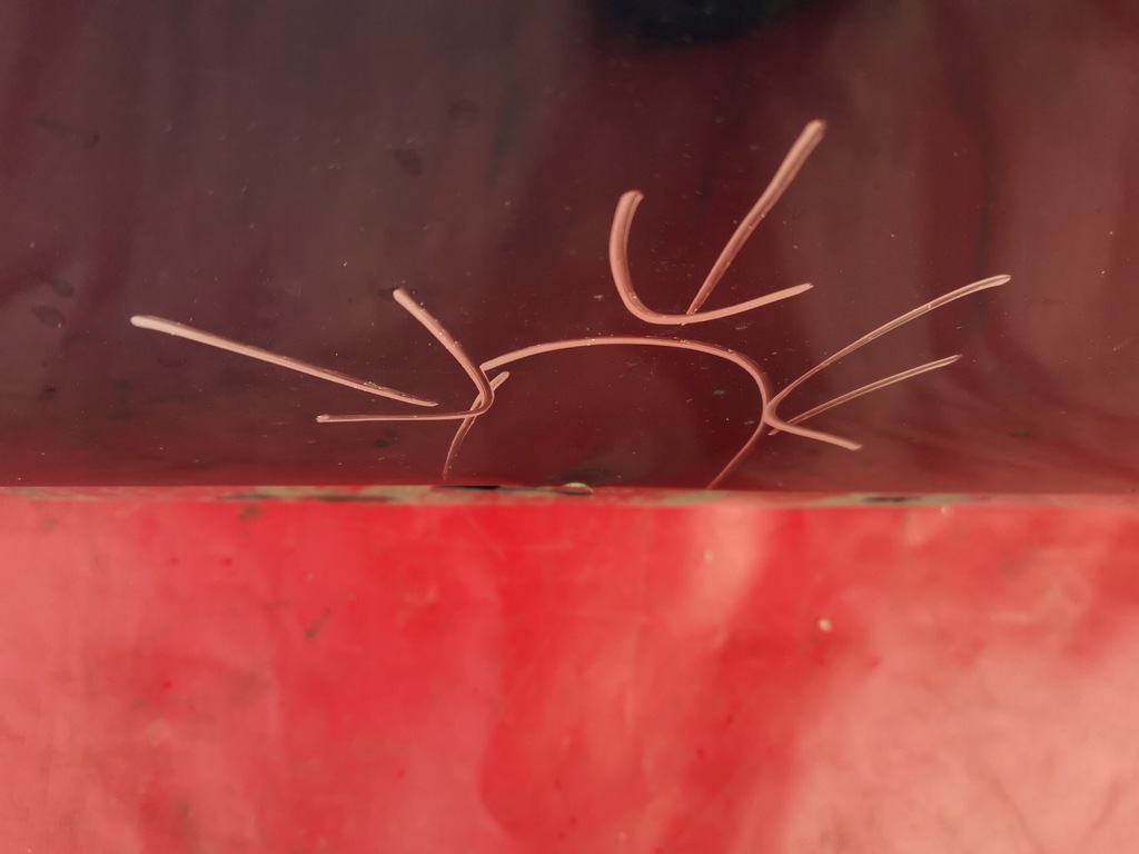 фото №6, Дверь передние правое dacia sandero stepway ii 2