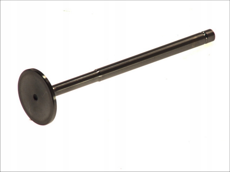 фото №1, Paradowscy psca007 клапан всмоктуючий