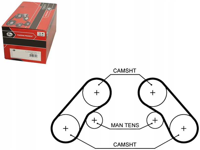 фото №3, Gates 5576xs ремень распределительного вала