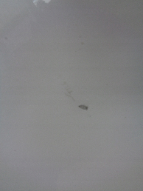 фото №7, Двері правий задня повний renault megane iv хетчбек teqnc перламутр