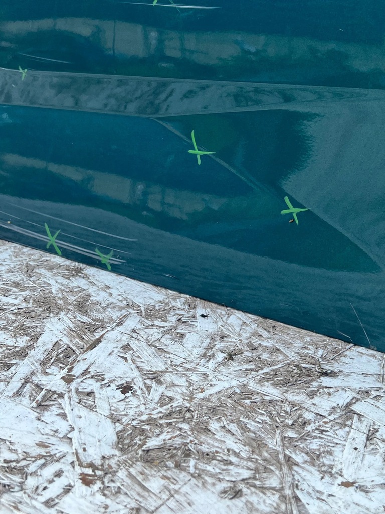 фото №10, Peugeot 308 iii 2021- дверь задние задняя левая левый