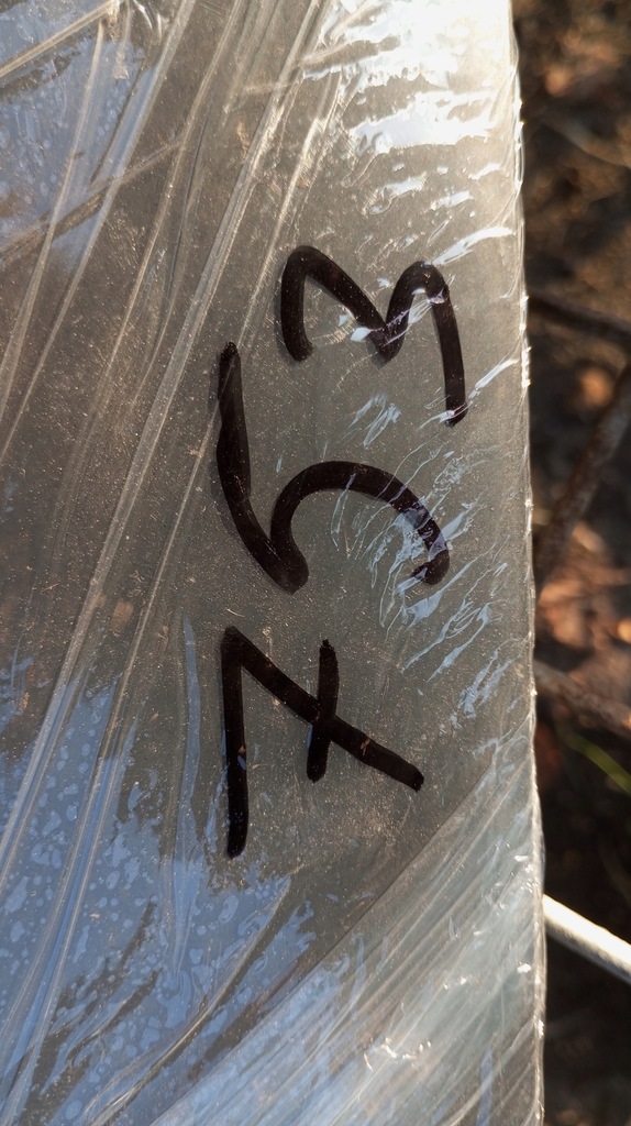 фото №9, Bmw 3 e36 cabrio 19773849 молдинг накладка бампера задня