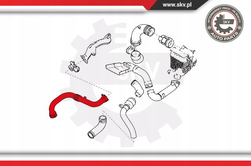 Патрубок труба turbo інтеркулер renault megane 1.9 dci Ціна