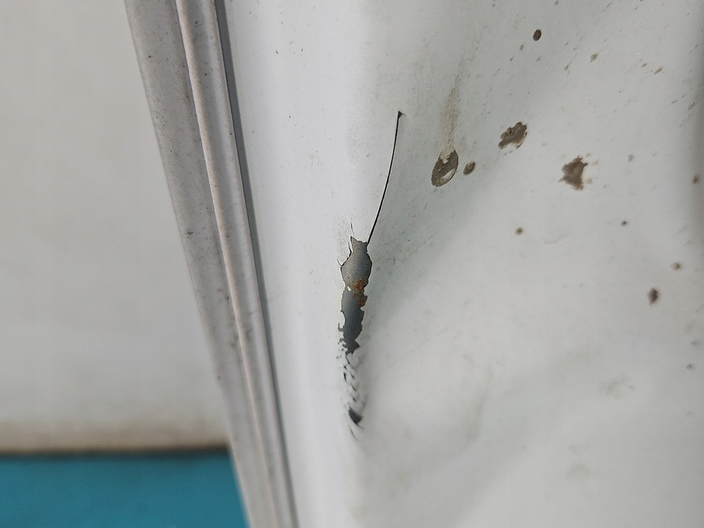 фото №11, Капот передня isuzu d-max ii 11-19 білий