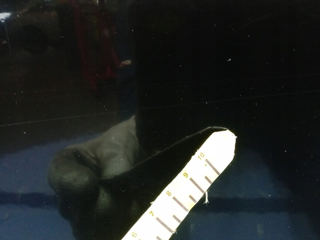 фото №10, Bmw 1 e87 двері перед ліва black sapphire металік 475