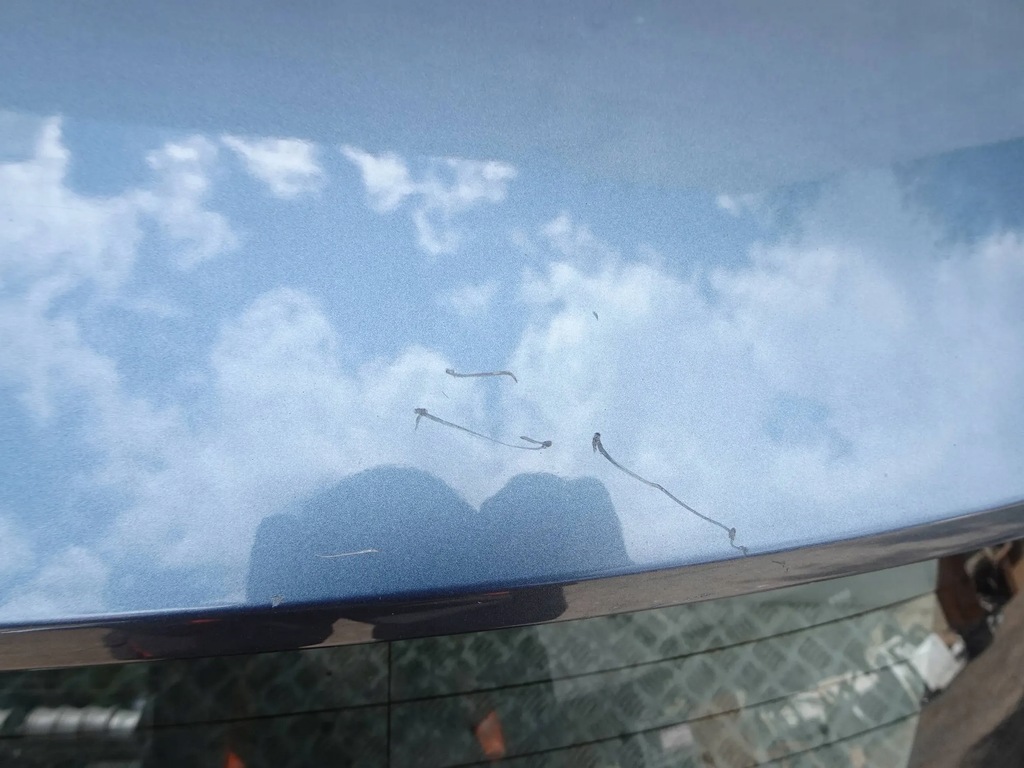 фото №14, Кришка багажника задня камера mazda cx-5 12-17r.