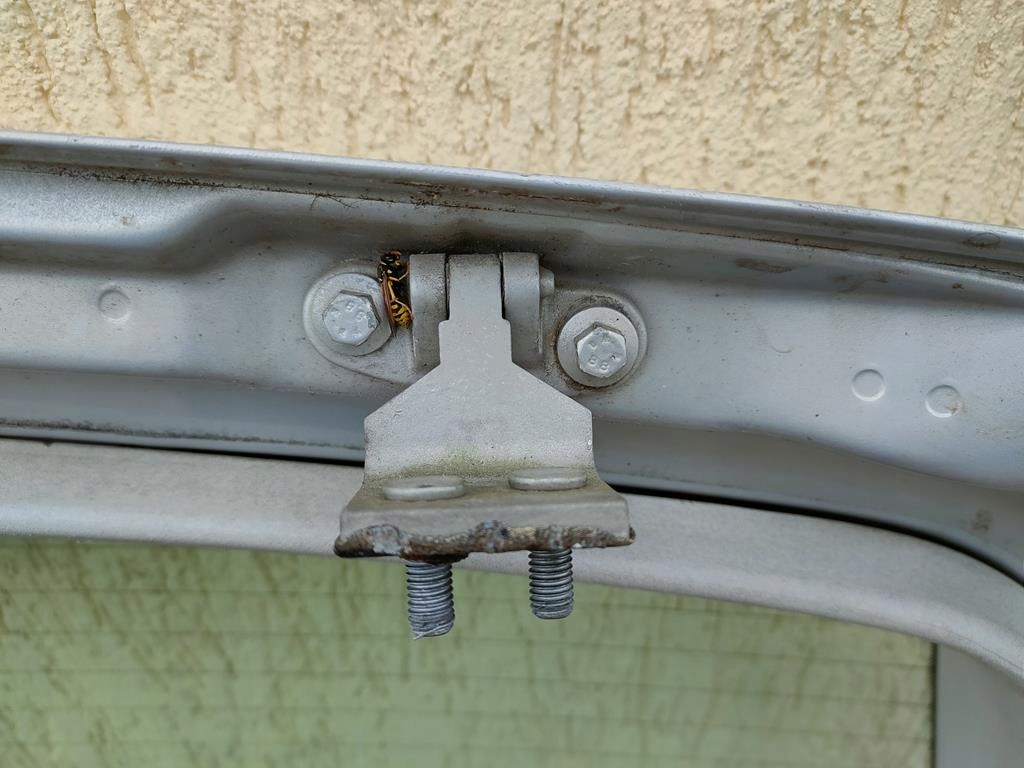 фото №10, Задня кришка багажника ford galaxy i lift