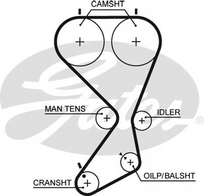 фото №8, Набор ремень распределительного вала gates k015556xs