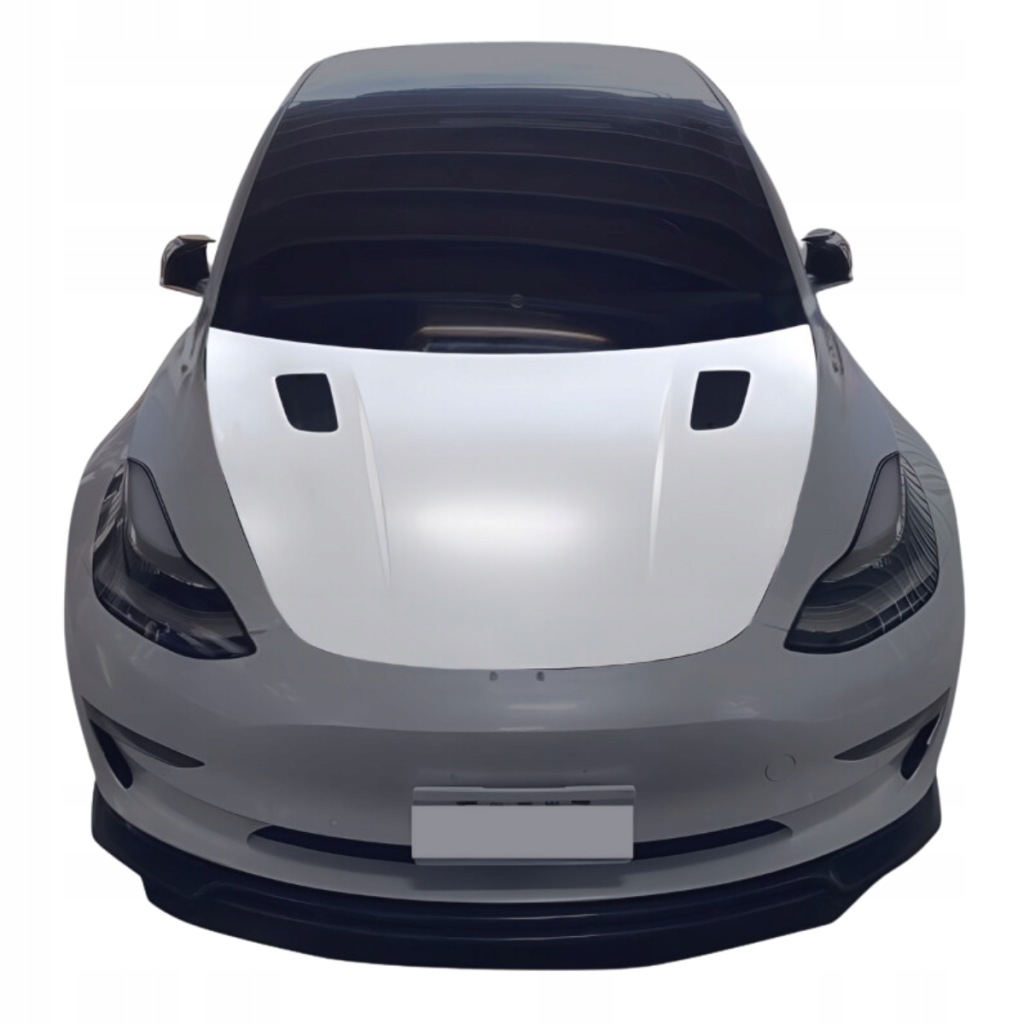 Купити Капот до tesla model 3 5yj3 2017 -