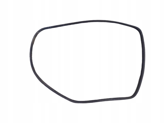 фото №1, Panda ii 03- прокладка двері задня права