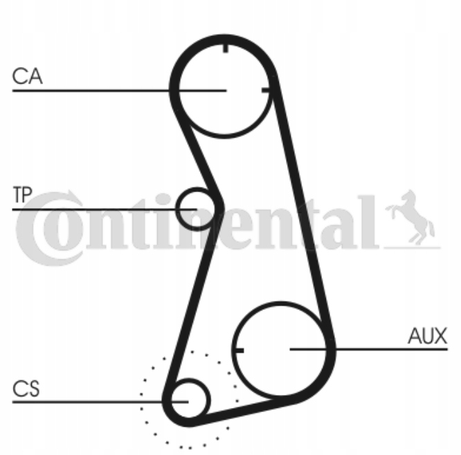 фото №4, Continental ct869 ремінь розподільного валу