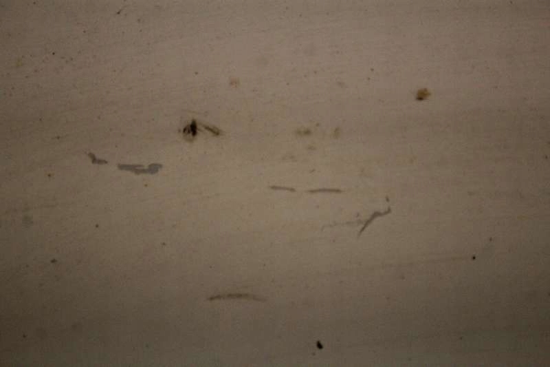 фото №6, Дверь задние правое крыло белый opel vivaro 1 i lift 06-14