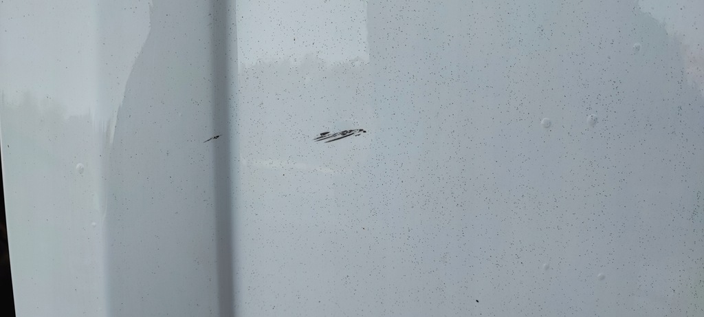 фото №8, Renault kangoo iii дверь левая левый задняя боковой раздвижные przesuwanie