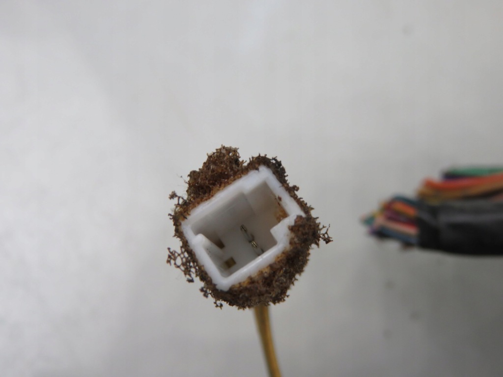 фото №6, Климатроник subaru legacy iii 72311ae161