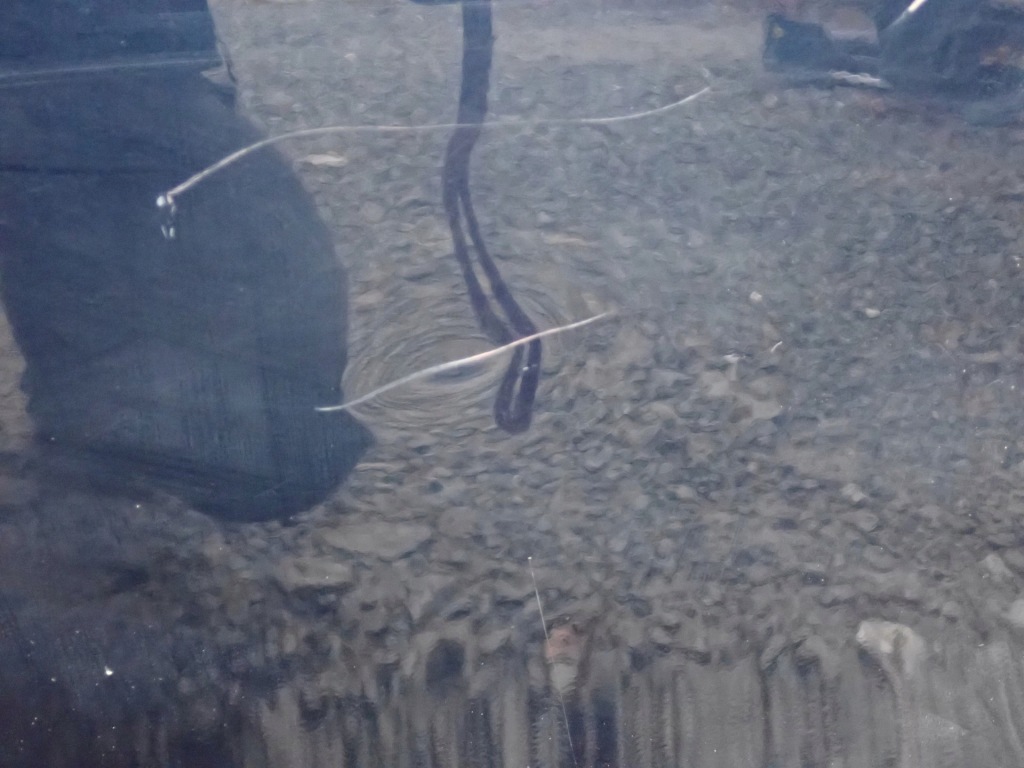 фото №3, Дверь правое задние правый задняя mazda cx5 2 ii 2017-