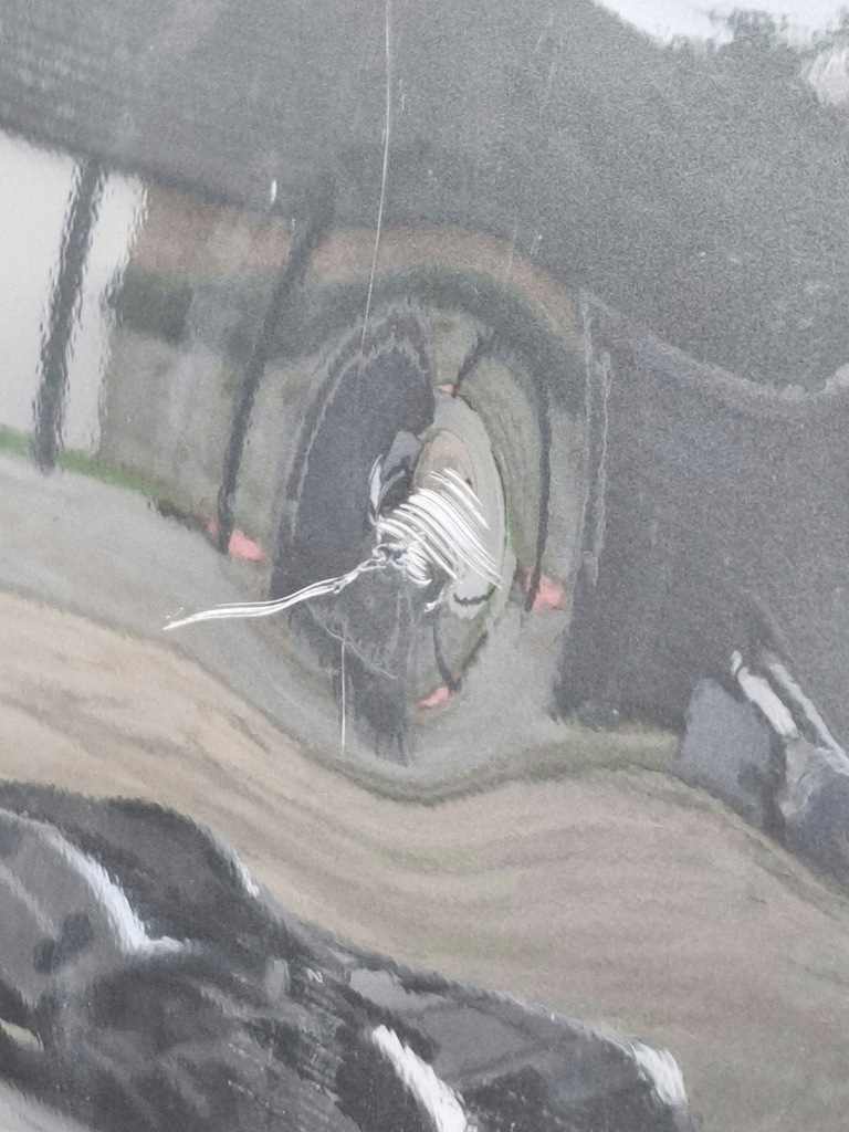 фото №9, Opel zafira c дверь правое передние перед