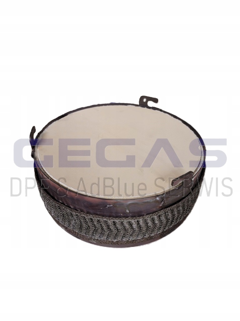 Купить Катализатор предварительный doc scania seria r euro 6 - 2208907 2411990