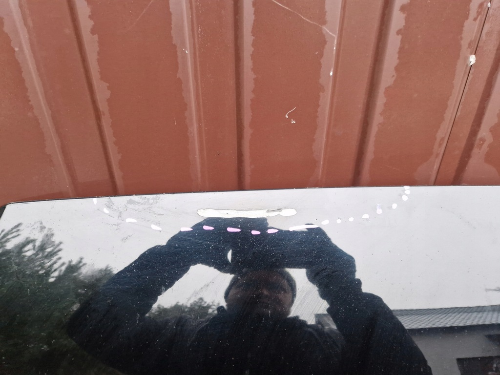 фото №4, Audi a4 b9 8w0 капот