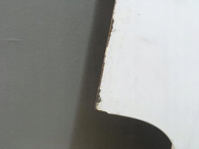 фото №11, Двері правий перед iveco daily 99-06