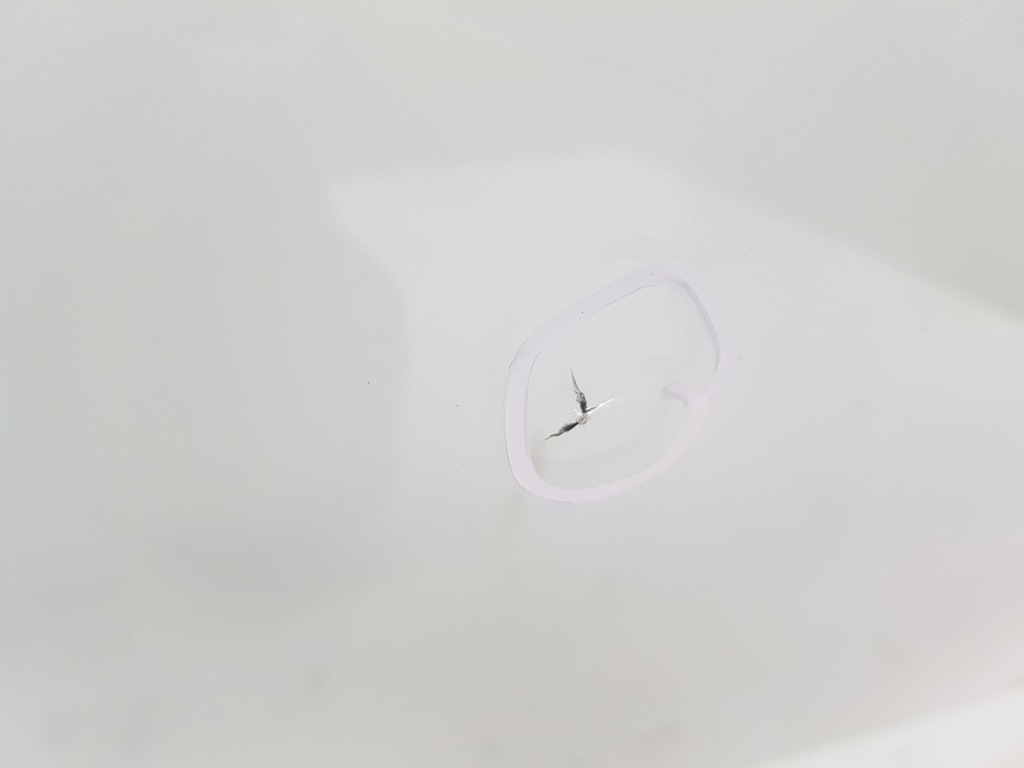 фото №5, Kia sportage iii скло лобове передня